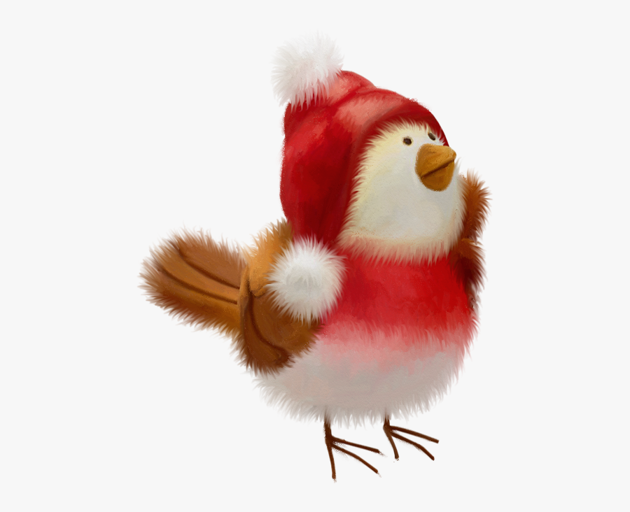 Christmas Bird, Christmas Animals, Christmas Clipart, - Png Para Photoscape Gratis, Transparent Clipart