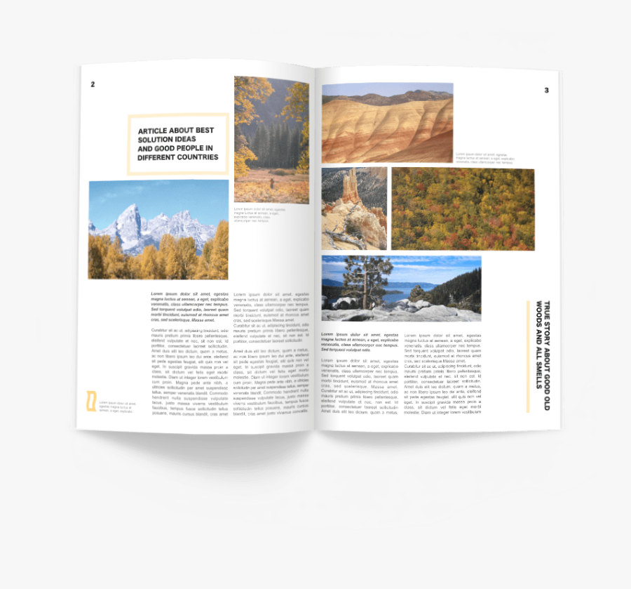 Magazine Created In Swift Publisher For Mac - Tree, Transparent Clipart