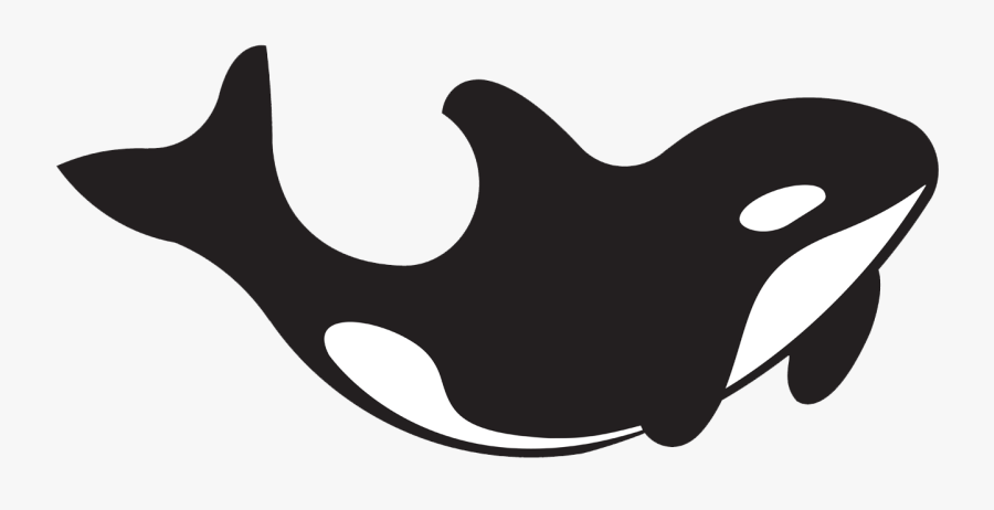 Killer Whale Clipart , Png Download , Free Transparent Clipart - ClipartKey