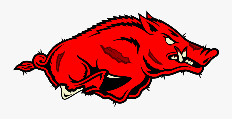 the university of arkansas mascot