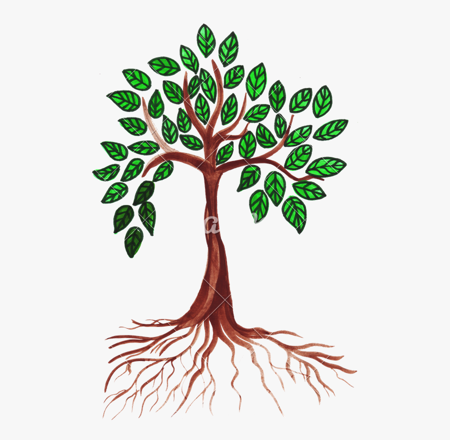 Green Drawing Tree - Drawing Tree With Leaves, Transparent Clipart