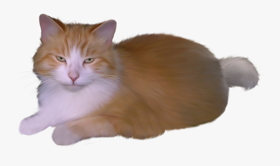 Clipart Cat Png - Кот На Прозрачном Фоне, Transparent Clipart