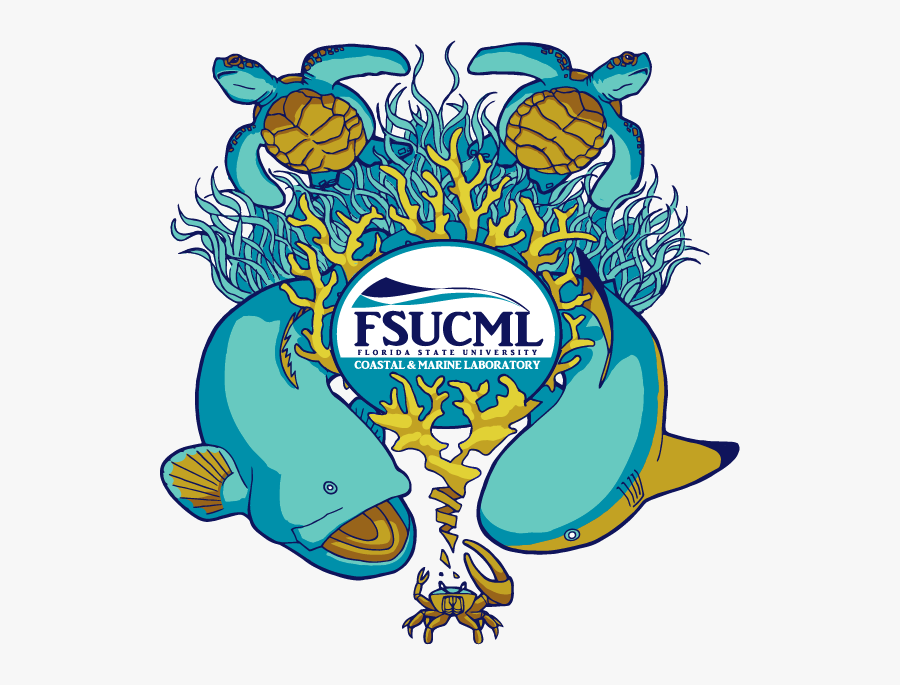 Lecture Urban Foraging Survival - Florida State Marine Biology, Transparent Clipart