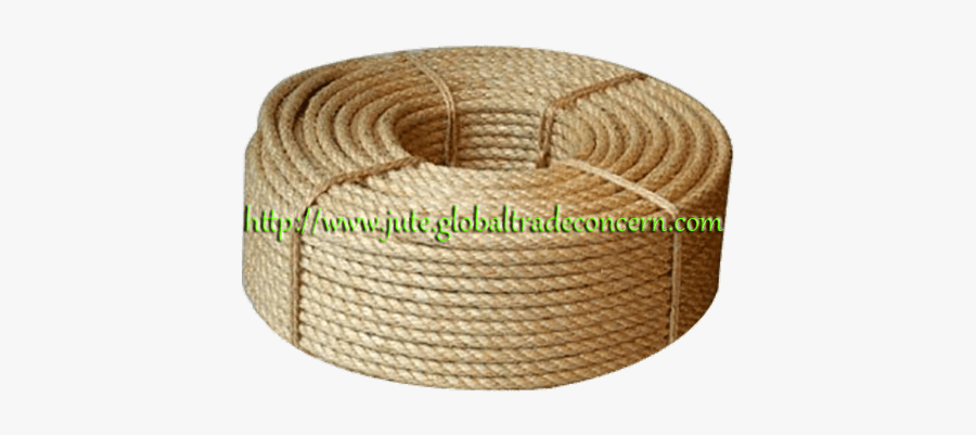Clip Art Product Global Trade Concern - Sisal Plant In The Philippines, Transparent Clipart