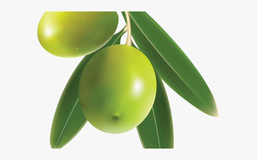 Olive Clipart - Green Olives Png Vector, Transparent Clipart