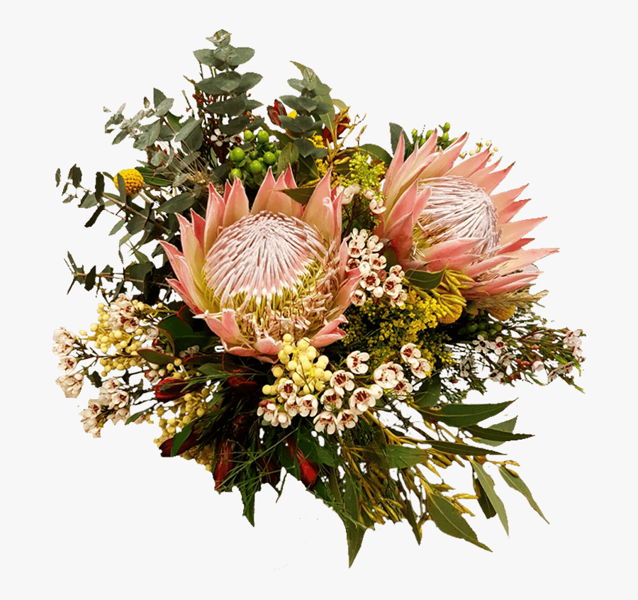 Transparent Rustic Flower Clipart - Giant Protea, Transparent Clipart