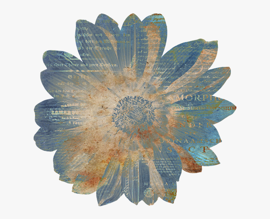 Flower, Vintage, Ephemera, Overlay, Daisy, Paper, Old - Rustic Clipart Transparent Background, Transparent Clipart