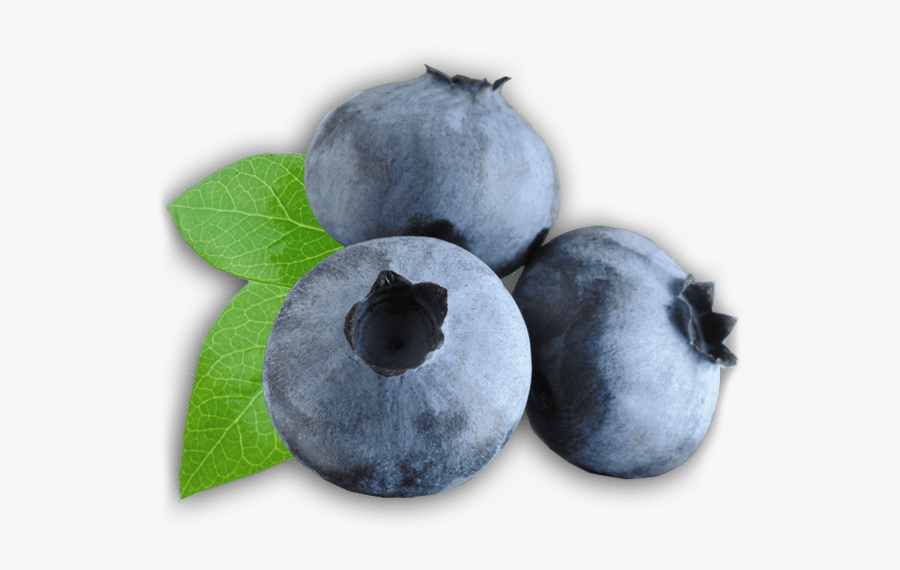 Zoom On Blueberries - Real Life Oran Berry, Transparent Clipart