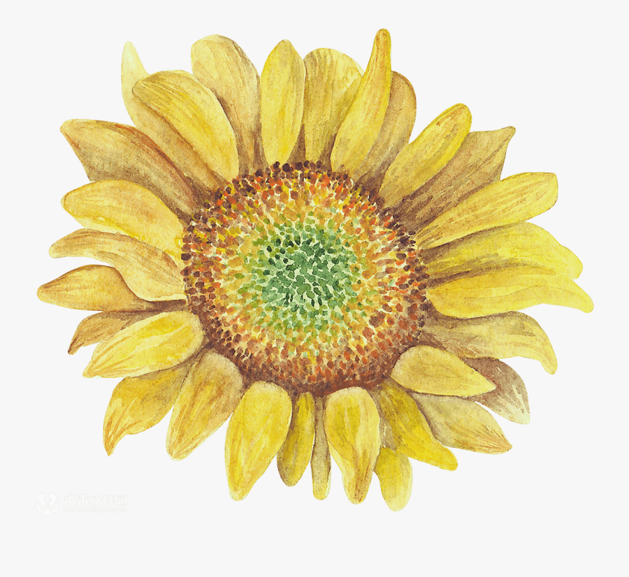 Free Free 329 Rustic Sunflower Svg SVG PNG EPS DXF File