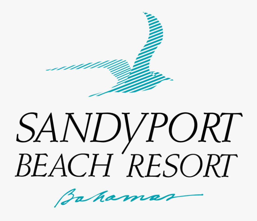 Sandyport - Bird, Transparent Clipart
