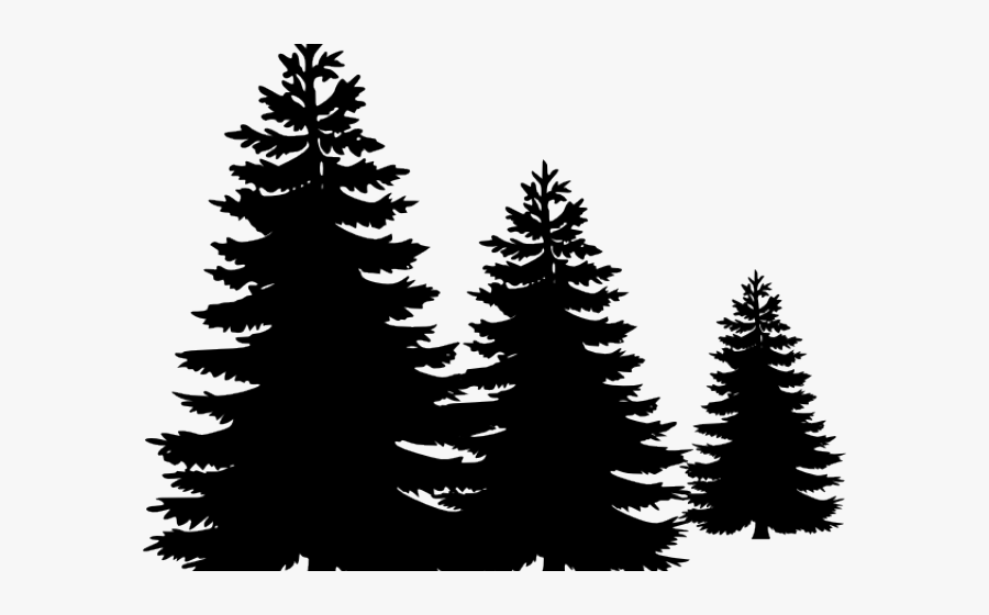 Transparent Fir Tree Clipart - Pine Trees Vector Free, Transparent Clipart