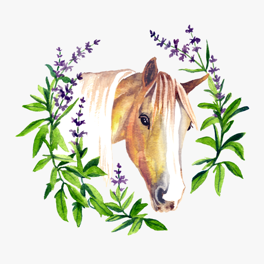 Transparent Horse Hoof Png - Sage, Transparent Clipart