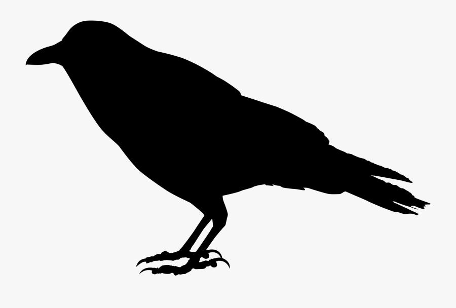 Crow Silhouette Png - Silhouette Crow Transparent Background, Transparent Clipart