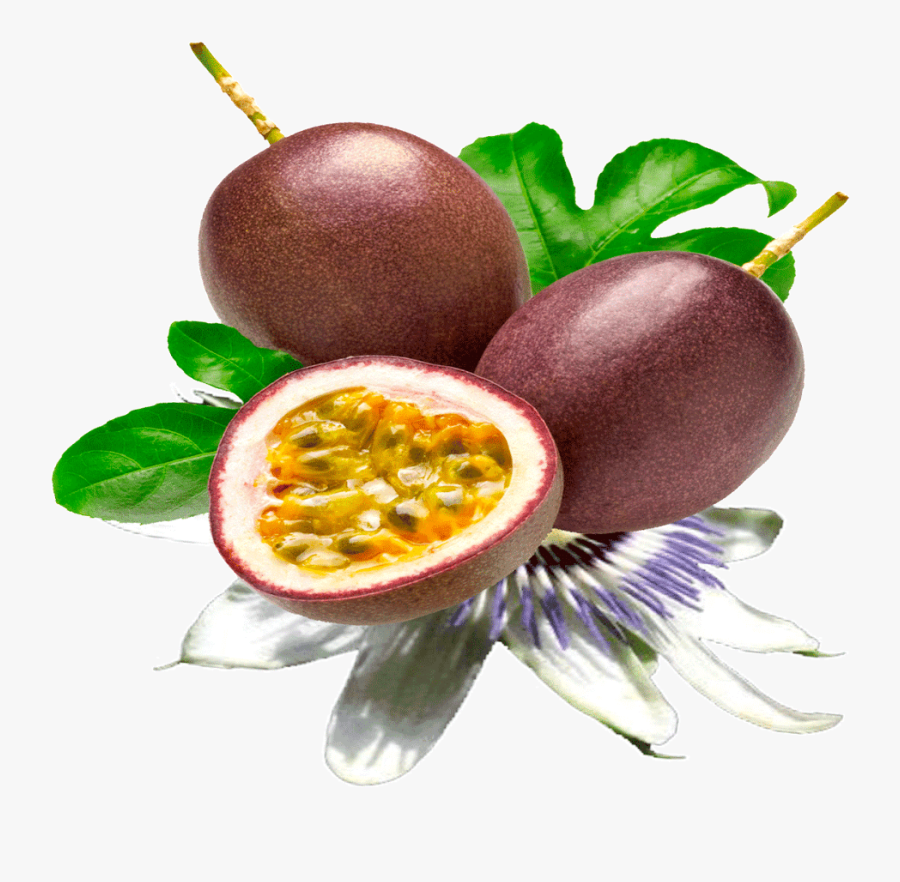 Passion Fruit Clipart Full Size Clipart 5762409 Pincl