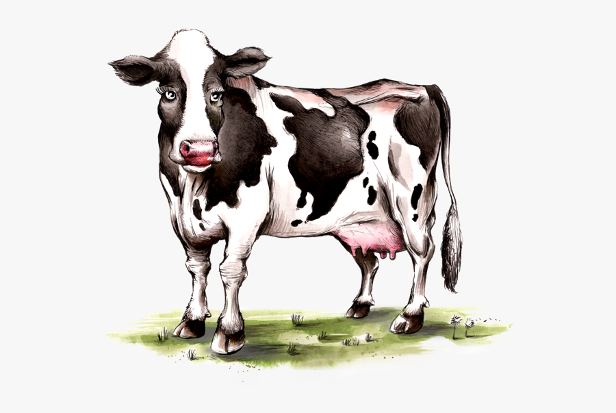 Dairy Cow, Transparent Clipart