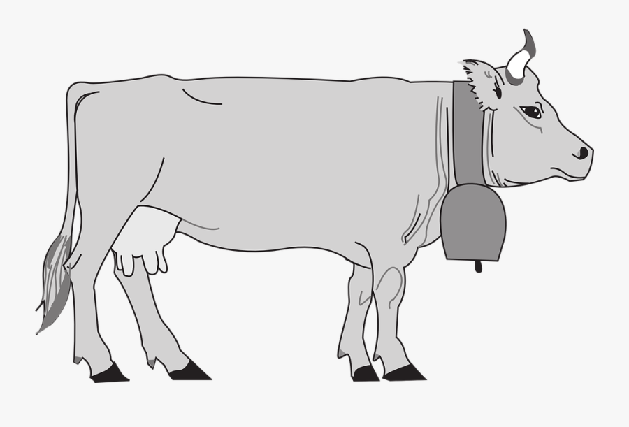 Gray, Cow, View, Farm, Bell, Side, Animal - Cartoon Cow Side View, Transparent Clipart