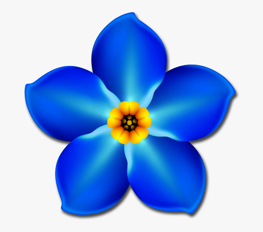 Forget Me Not Flower Png , Free Transparent Clipart - ClipartKey