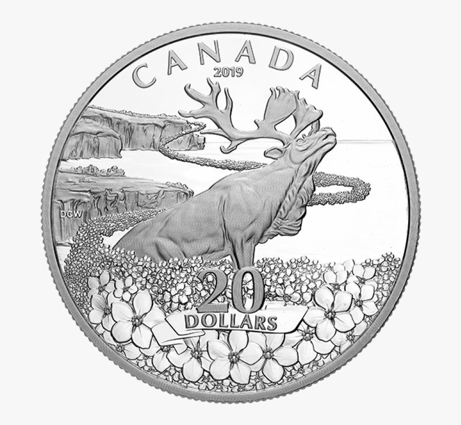 2019 Canadian $20 Forget Me Not - Canadian Pacific Railway Drawing, Transparent Clipart