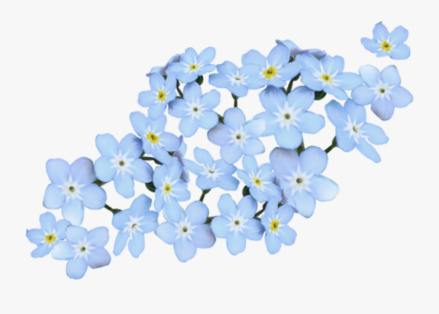 #flowers #blue - Forget Me Not Png, Transparent Clipart