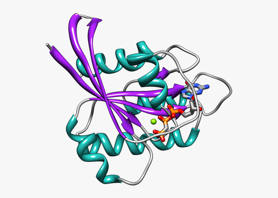 Ras Protein Structure, Transparent Clipart