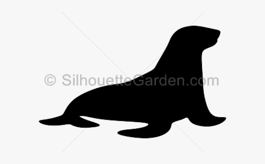 Transparent Seal Animal Png - Sea Lion Silhouette, Transparent Clipart