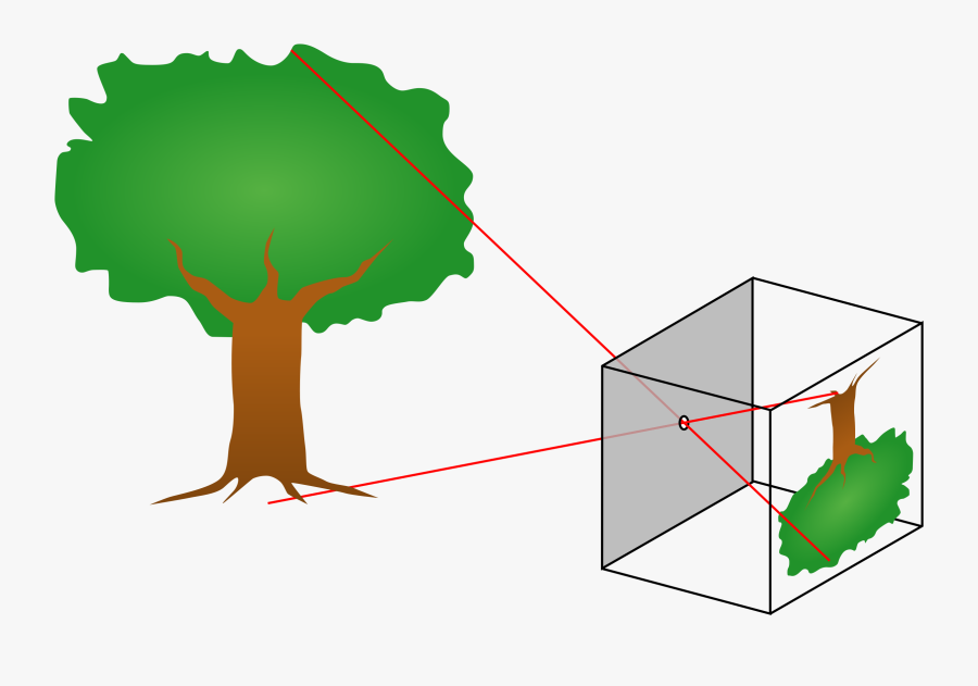 Formed By Pinhole Camera, Transparent Clipart