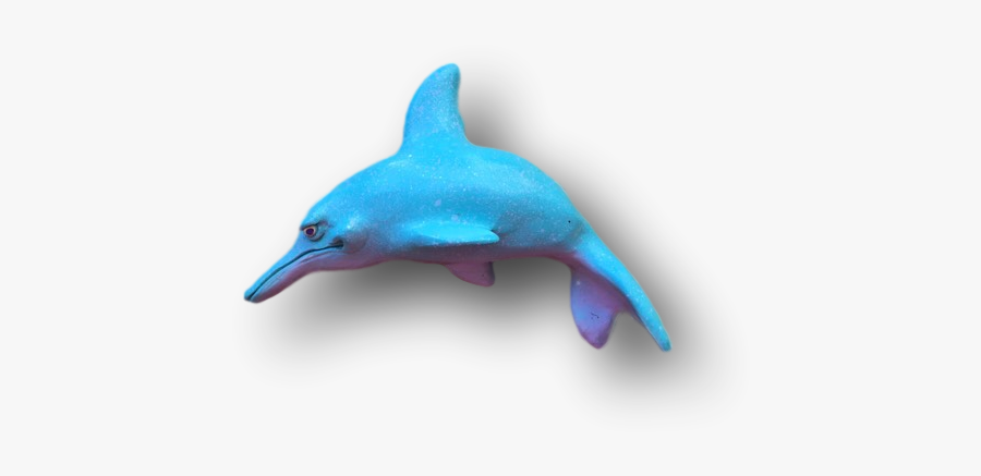 Common Bottlenose Dolphin, Transparent Clipart