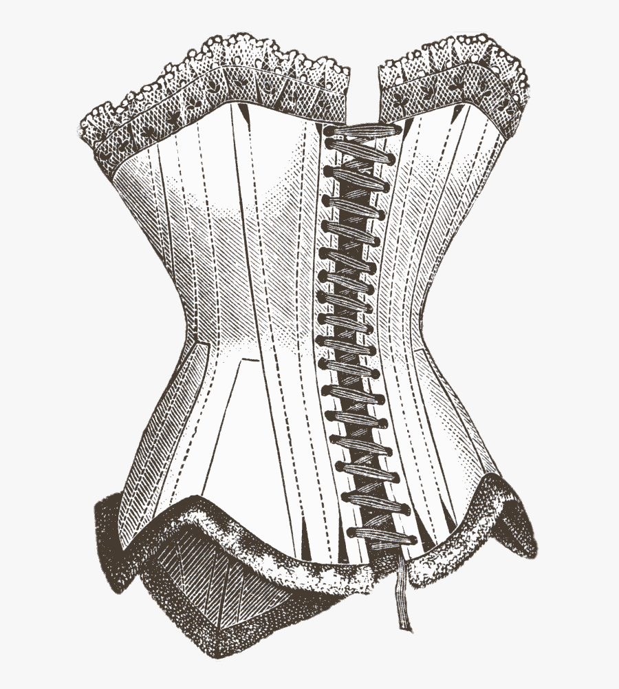 Corset Illustration - Corset Drawing, Transparent Clipart