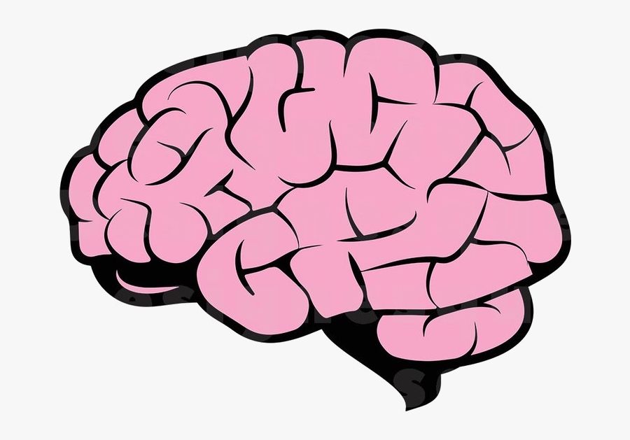Как нарисовать мозг. Мозг силуэт. Мозг рисунок. Мозг рисунок мультяшный.