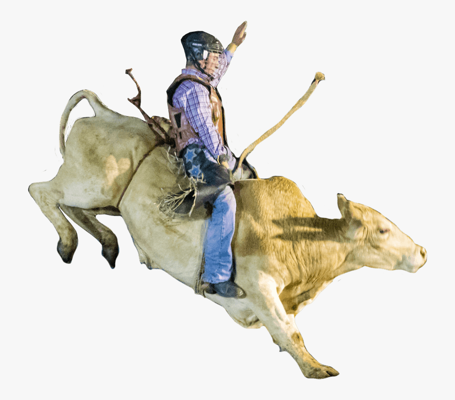 Bull Riding, Transparent Clipart