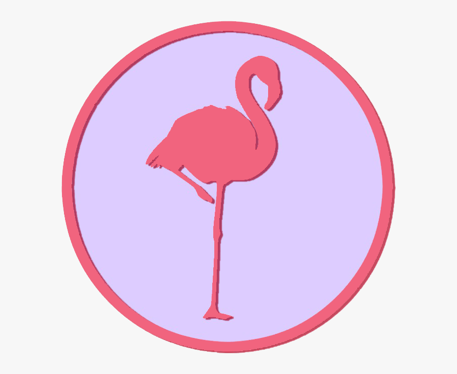 Greater Flamingo - Flaming Flamingo, Transparent Clipart