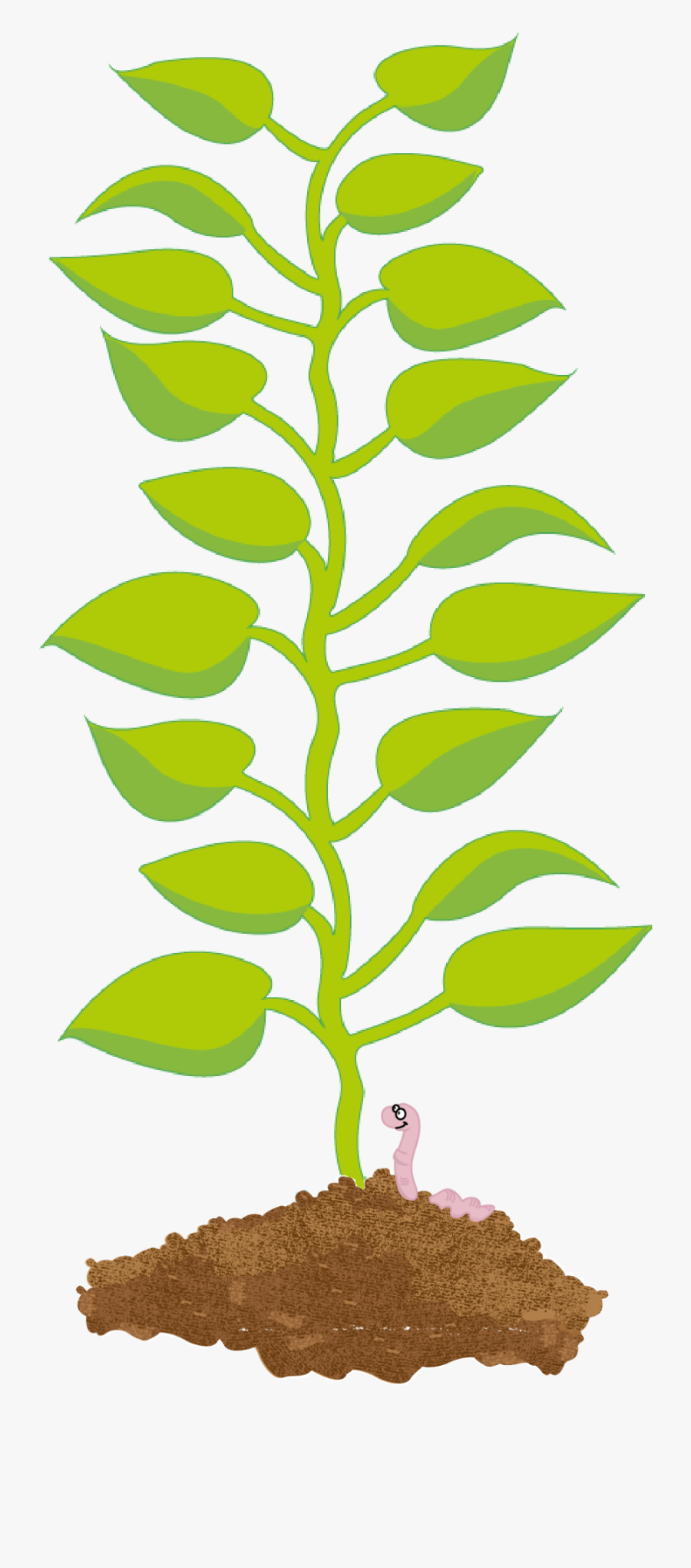 Illustration Of A Potato Plant"s Leaves Growing From - Png Clipart Potato Leaf Png, Transparent Clipart