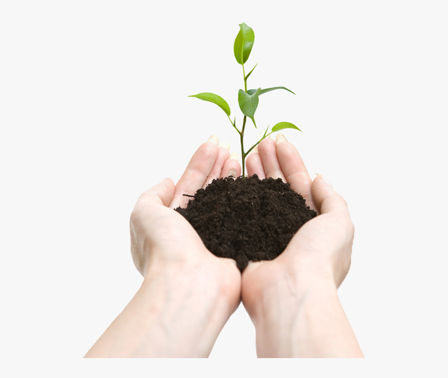 soil in hands png hands with plant png free transparent clipart clipartkey hands png hands with plant png
