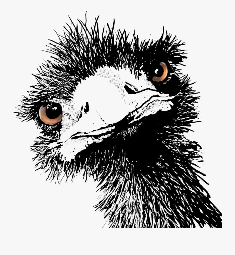 Transparent Wild Life Clipart - Ostrich, Transparent Clipart