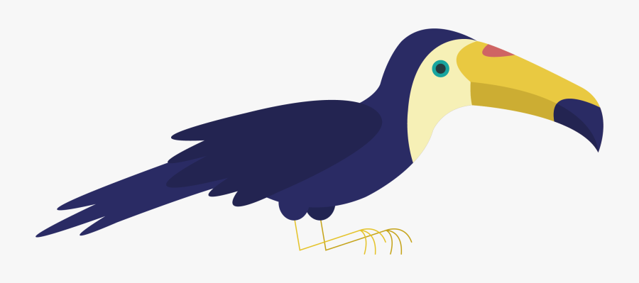 Bird Parrot Toucan Wildlife - Rallidae, Transparent Clipart