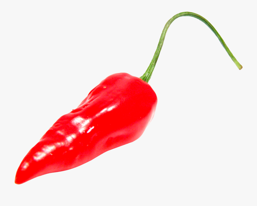 Red Chili Pepper Png Image, Transparent Clipart