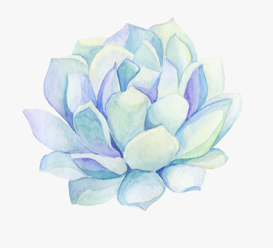 #freetoedit #ftestickers #watercolor #cactus #flower - Sacred Lotus, Transparent Clipart