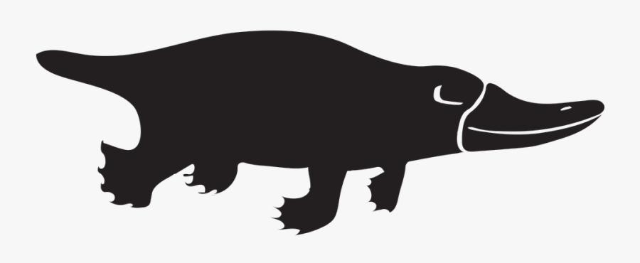 Tasmanian-devil - Platypus Png Black, Transparent Clipart