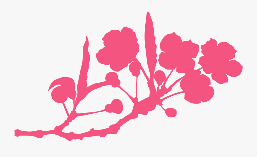 Cherry Blossom Silhouette, Transparent Clipart