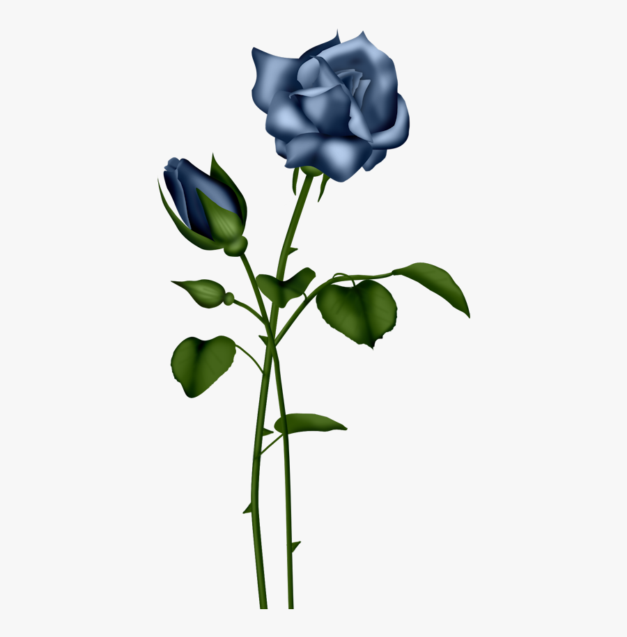 Bed Of Roses Scrapbooking Flowers, Digital Scrapbooking, - Light Blue Rose Transparent, Transparent Clipart