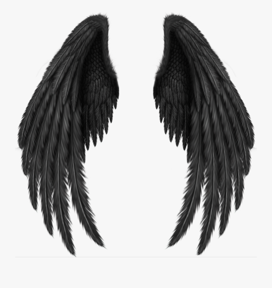 #wings #wing #angel #animal #bird #eagle #dark #black - Black Wings Png, Transparent Clipart