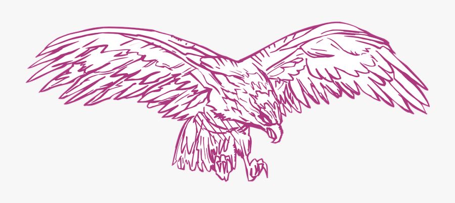Transparent Eagle Wings Spread Clipart - Bird Spreading Wings, Transparent Clipart