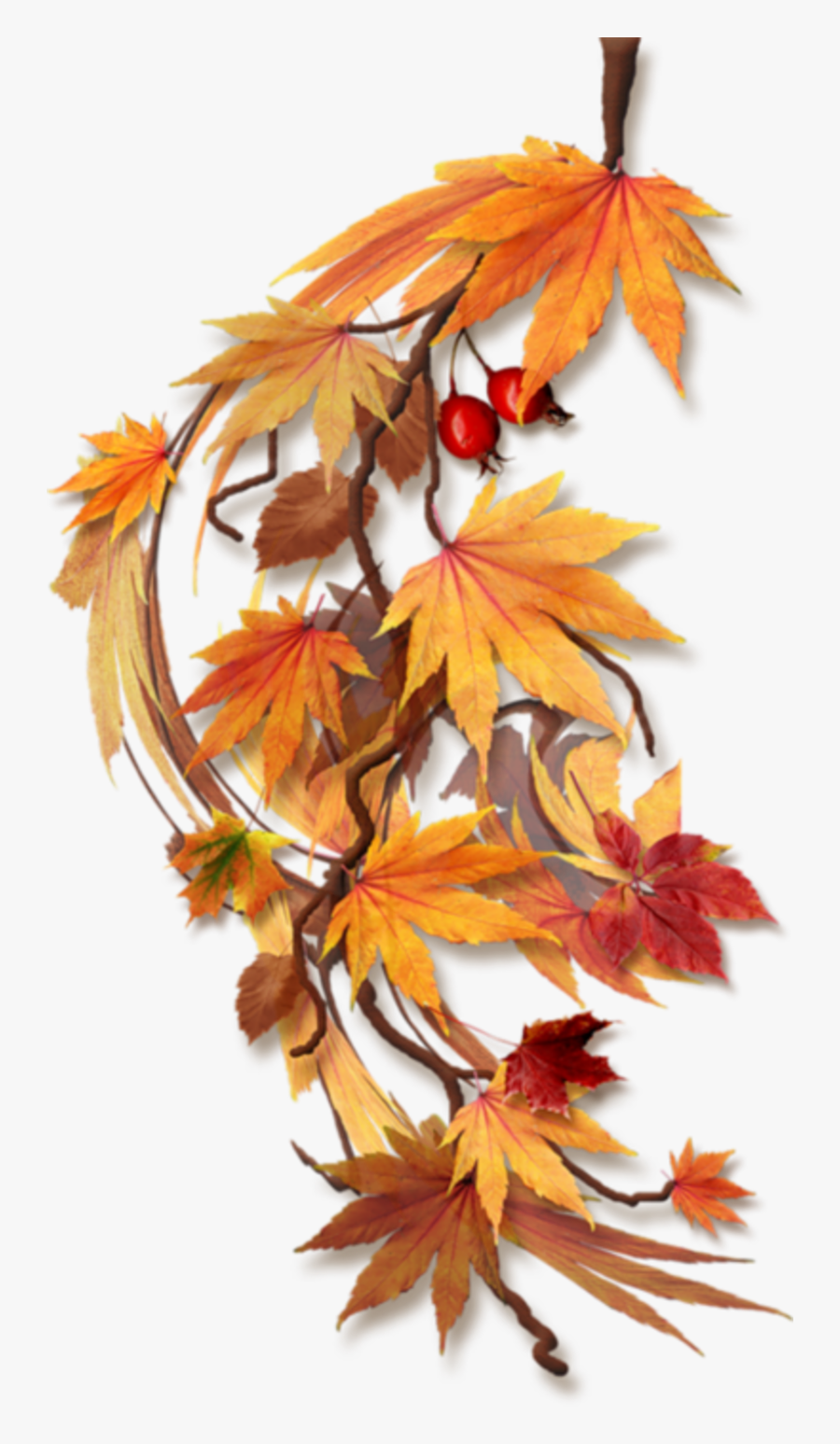 Transparent Fall Leaves Border Clipart - Feuilles D Automne Png , Free