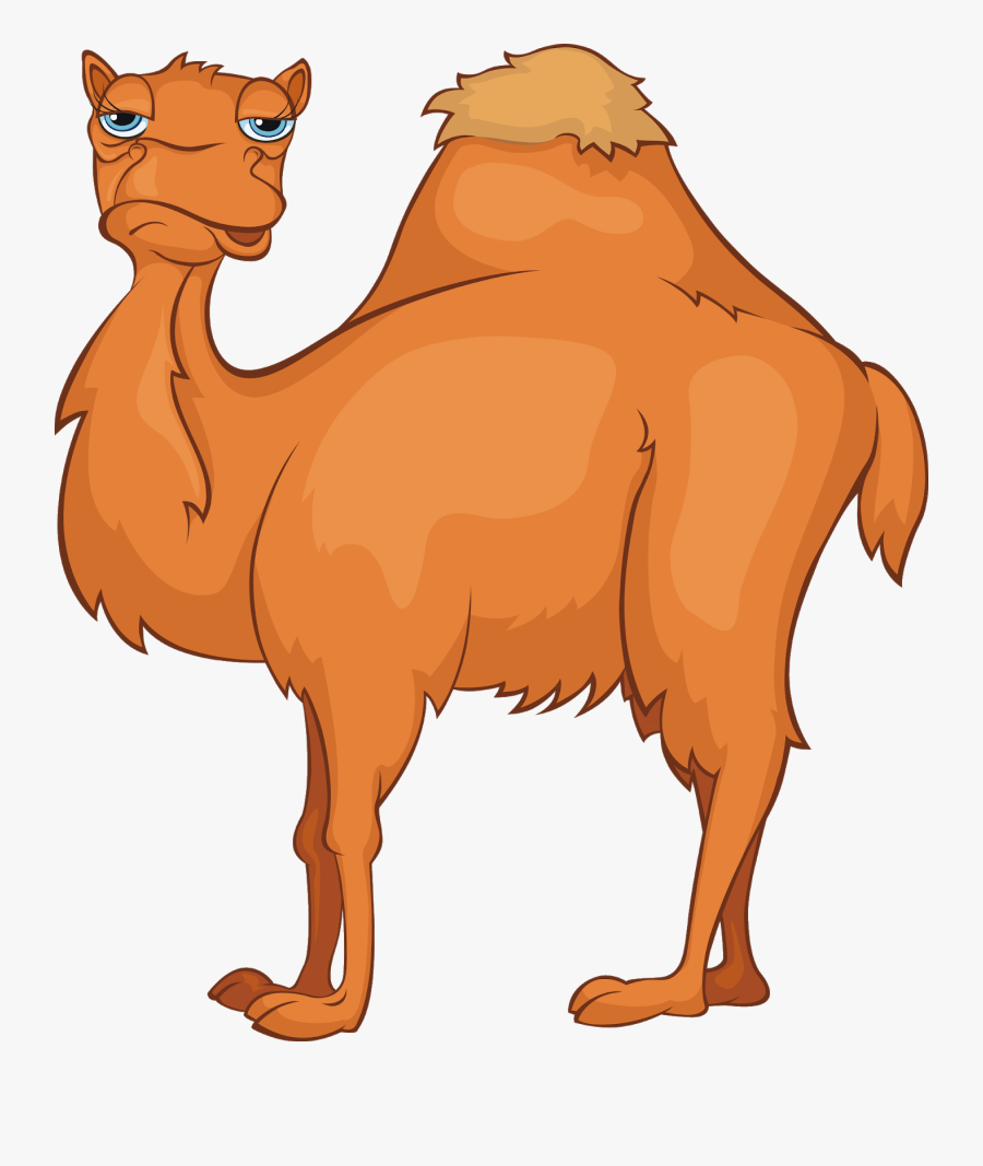 Transparent Camel Png - Camelcartoon Png, Transparent Clipart