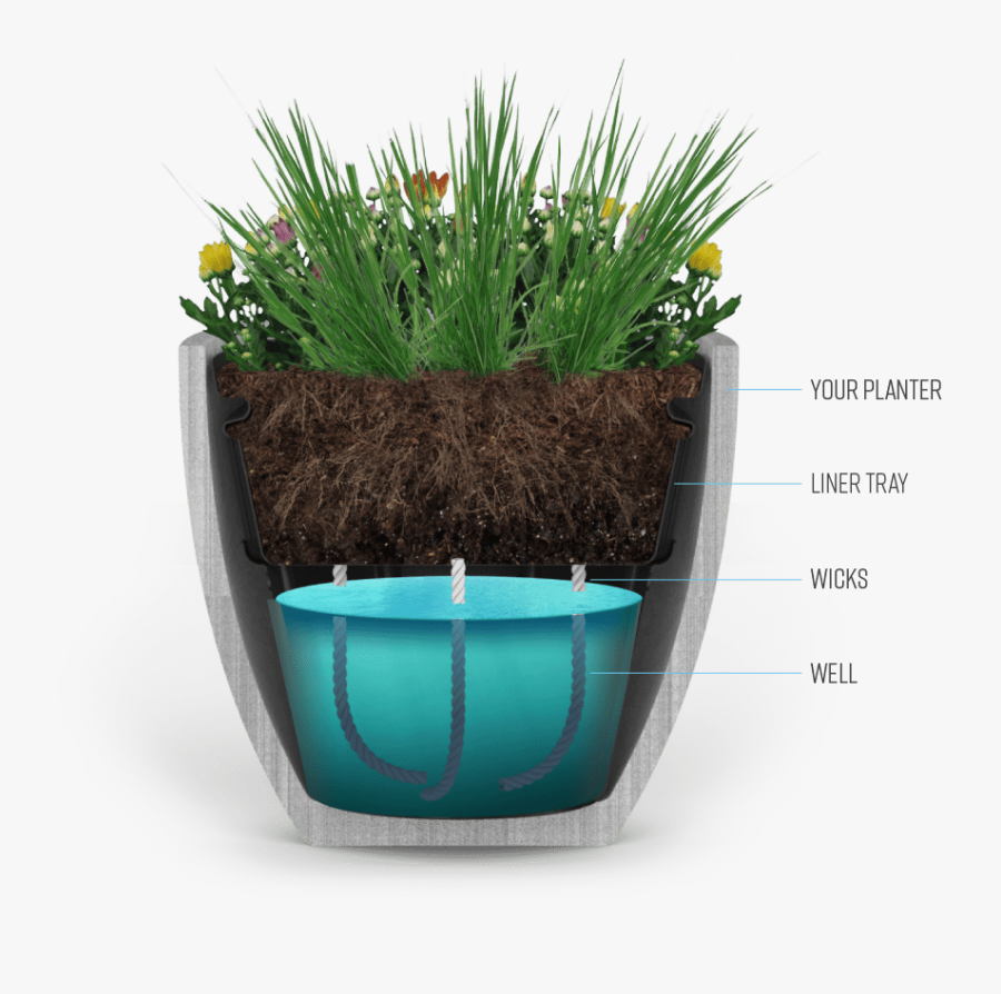 The Industries Best Self - Flowerpot, Transparent Clipart