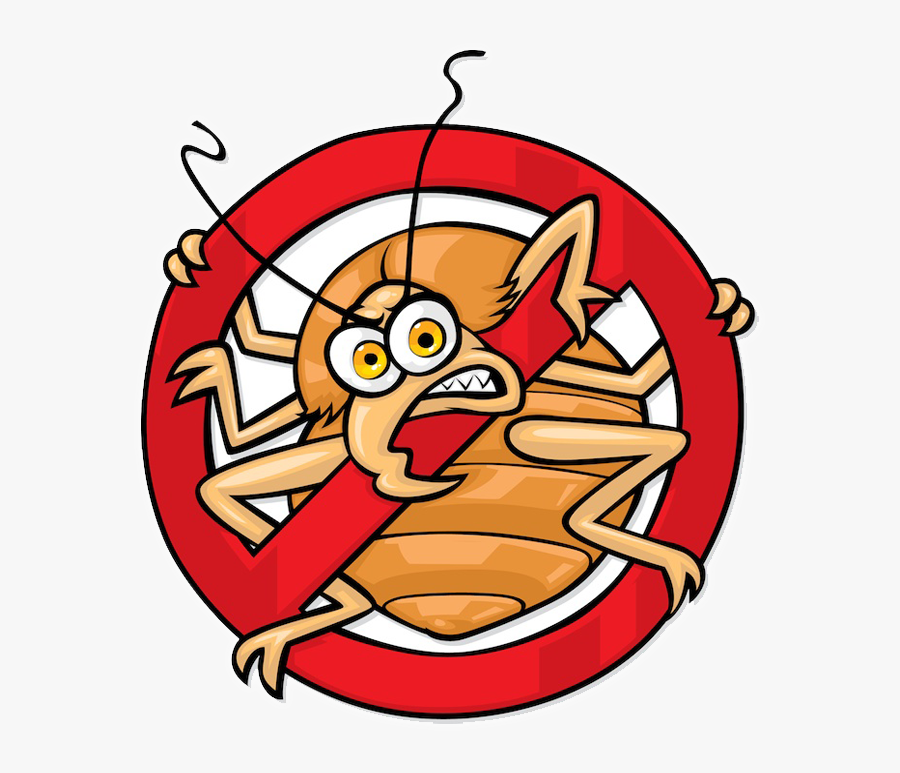 Bed Bugs Are An Infestation Which Can"t Be Neglected - No Bed Bugs, Transparent Clipart