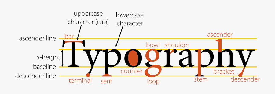 Typography Anatomy Of Type, Transparent Clipart
