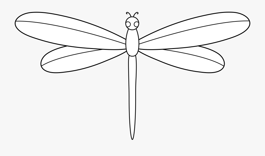 Dragonfly Outline - Dragonfly , Free Transparent Clipart - Clipartkey