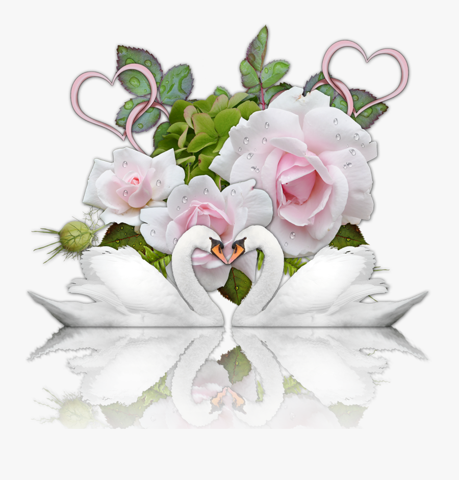 Romance Heart Swans Roses - Открытка С Днем Свадьбы Скачать, Transparent Clipart