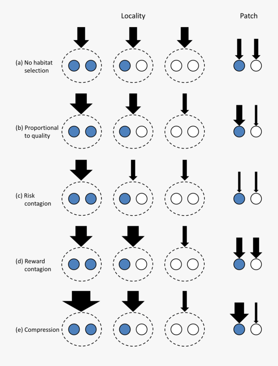 Five Potential Colonization Scenarios At The Locality - Circle, Transparent Clipart